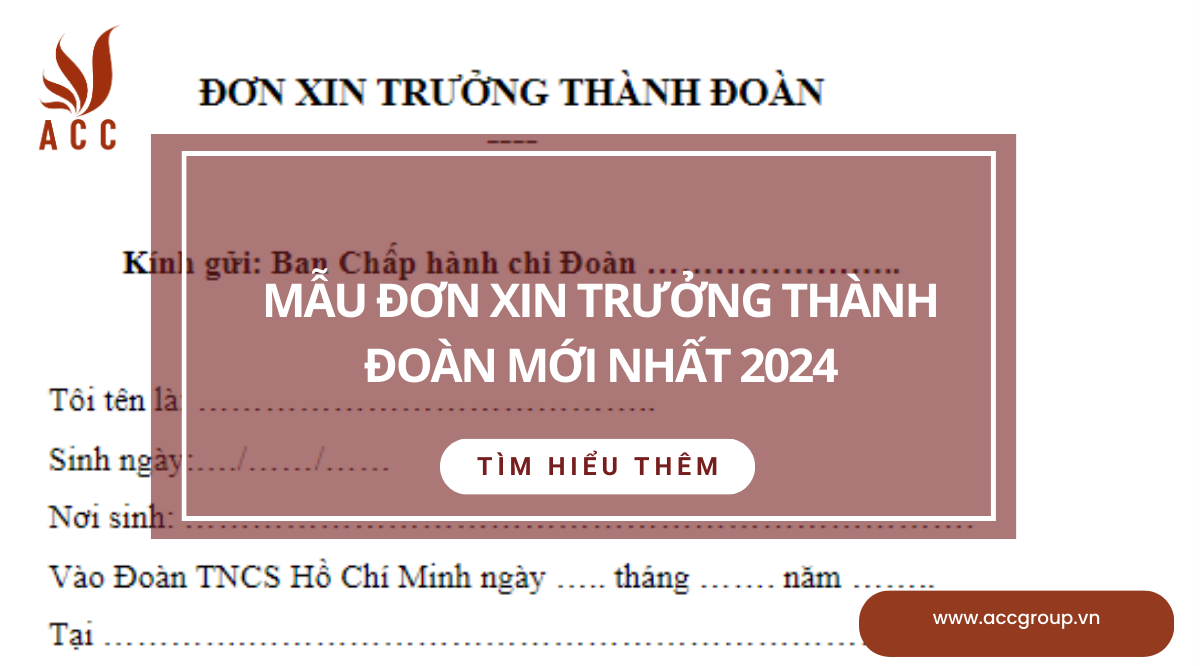 Mẫu đơn xin trưởng thành đoàn mới nhất 2024