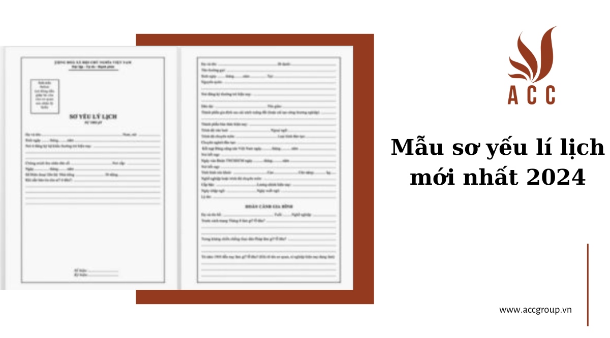 Mẫu sơ yếu lý lịch mới nhất 2024