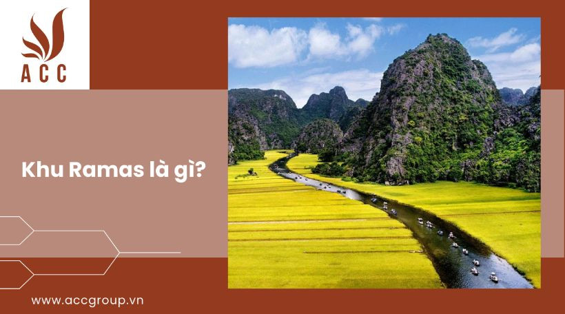 mau-thong-bao-thuc-hien-khuyen-mai-2024-4