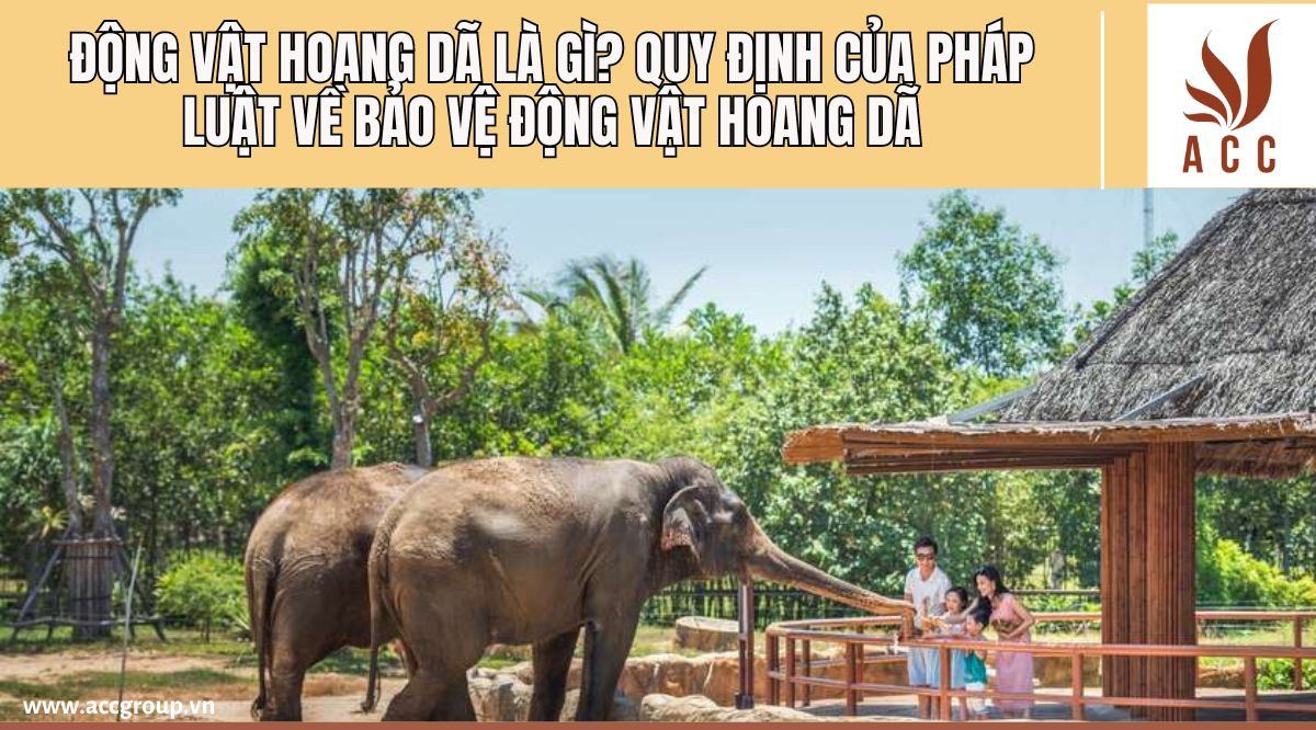 Động vật hoang dã là gì?Quy định của pháp luật về bảo vệ động vật hoang dã