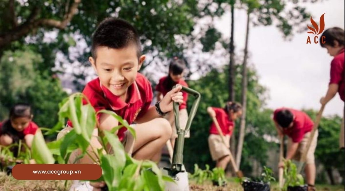 Những biện pháp mà chúng ta có thể làm giảm phát thải khí nhà kính
