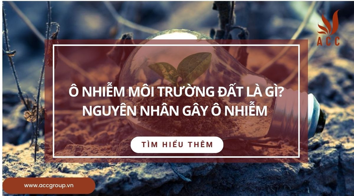 Ô nhiễm môi trường đất là gì? Nguyên nhân gây ô nhiễm