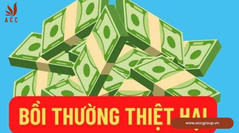 Quy định về năng lực chịu trách nhiệm bồi thường thiệt hại