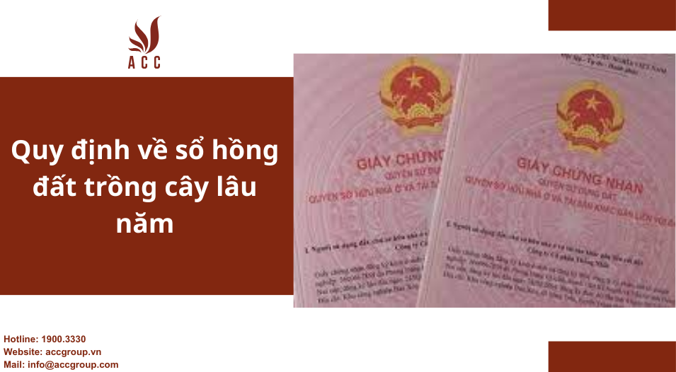 Quy định về sổ hồng đất trồng cây lâu năm