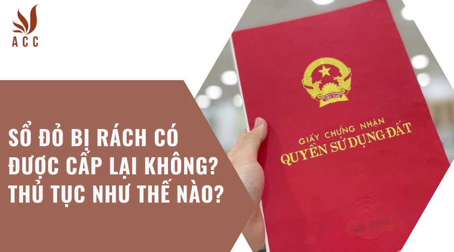 Sổ đỏ bị rách có được cấp lại không? Thủ tục như thế nào?