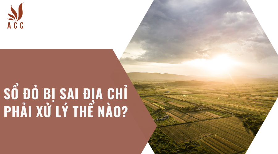 Sổ đỏ bị sai địa chỉ phải xử lý thế nào?