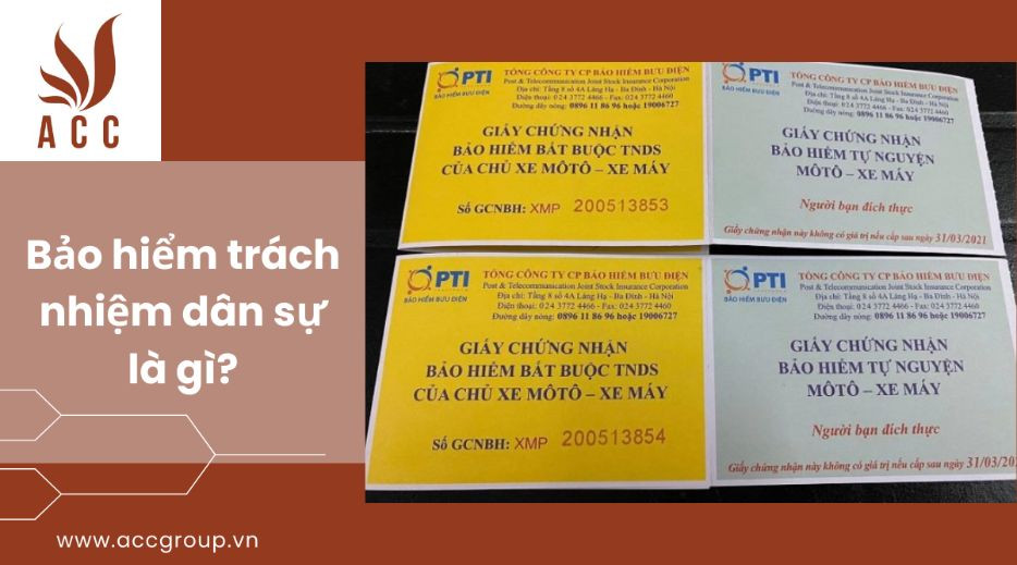 thiet-ke-accgroup-7