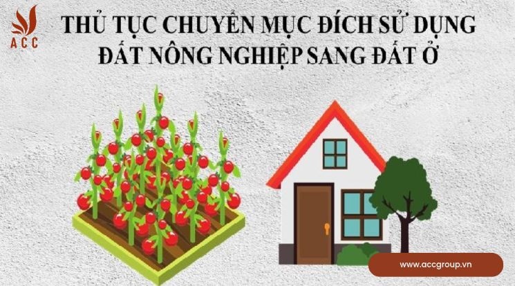 Thủ tục chuyển đổi đất 64 sang đất ở