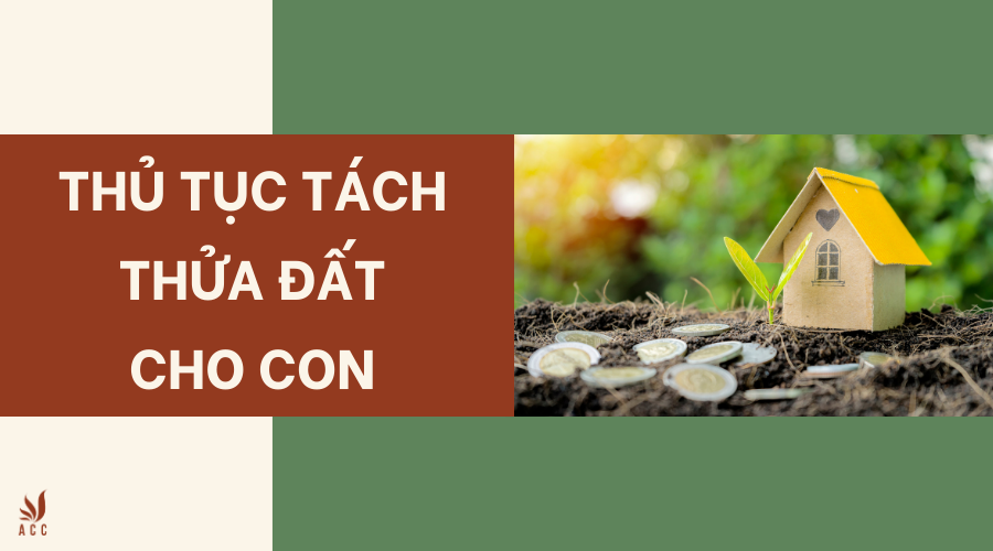 Thủ tục tách thửa đất cho con