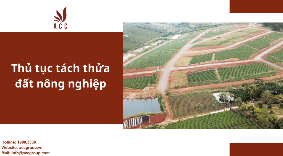 Thủ tục tách thửa đất nông nghiệp