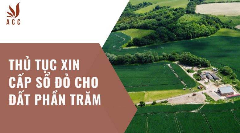 Thủ tục xin cấp sổ đỏ cho đất phần trăm