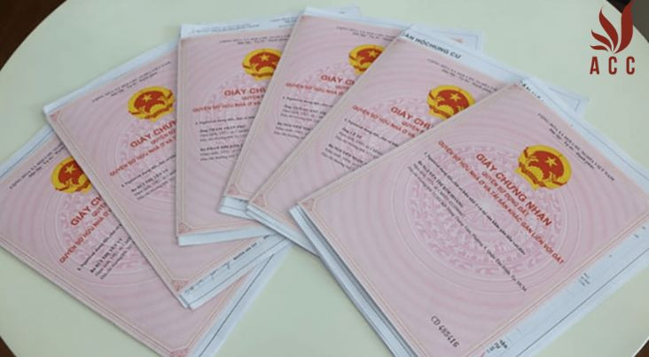 Thủ tục xin cấp sổ hồng đất cây trồng lâu năm
