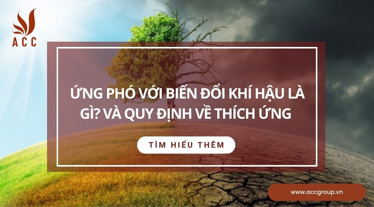 Ứng phó với biến đổi khí hậu là gì? Và quy định về thích ứng