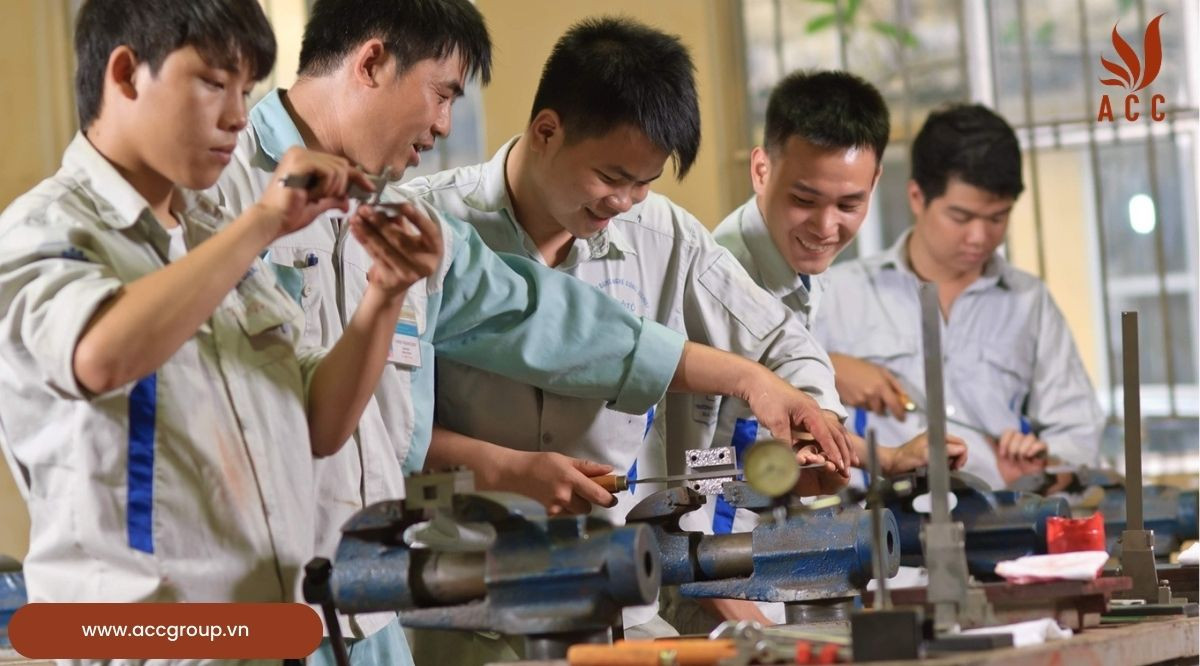 Vai trò và chức năng của giáo dục nghề nghiệp
