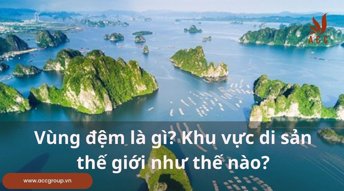 Vùng đệm là gì? Những tiêu chí xác định vùng đệm