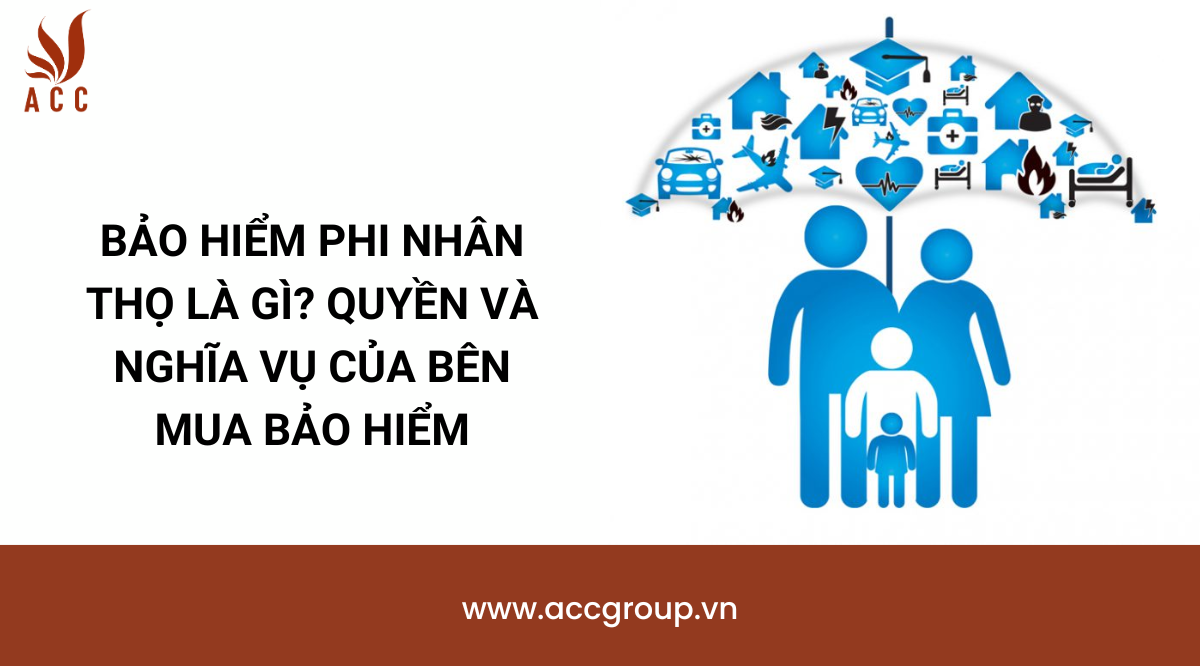 Bảo hiểm phi nhân thọ là gì? Quyền và nghĩa vụ của bên mua bảo hiểm