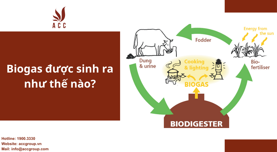 biogas-duoc-sinh-ra-nhu-the-nao