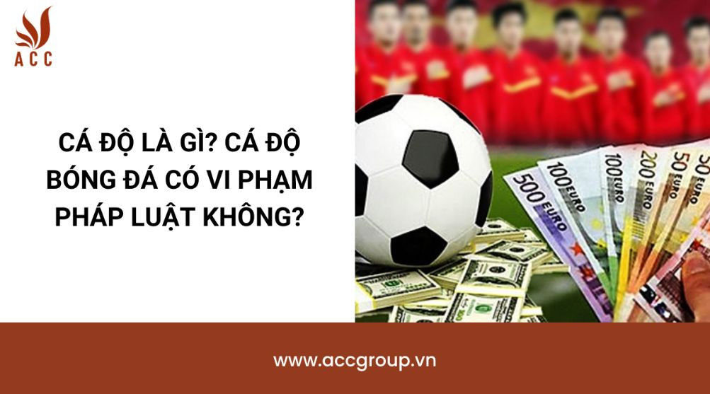 Cá độ là gì? Cá độ bóng đá có vi phạm pháp luật không?