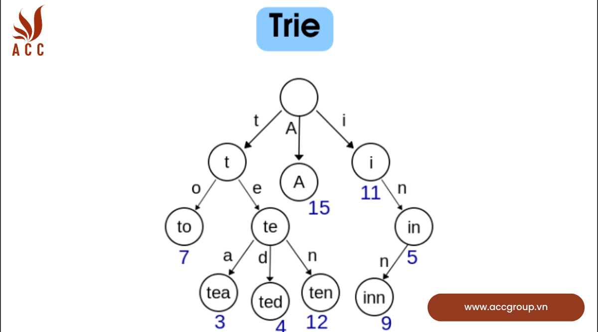 Các hoạt động phổ biến trên cấu trúc dữ liệu
