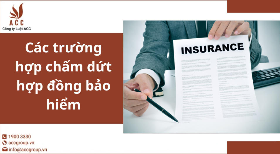 Các trường hợp chấm dứt hợp đồng bảo hiểm