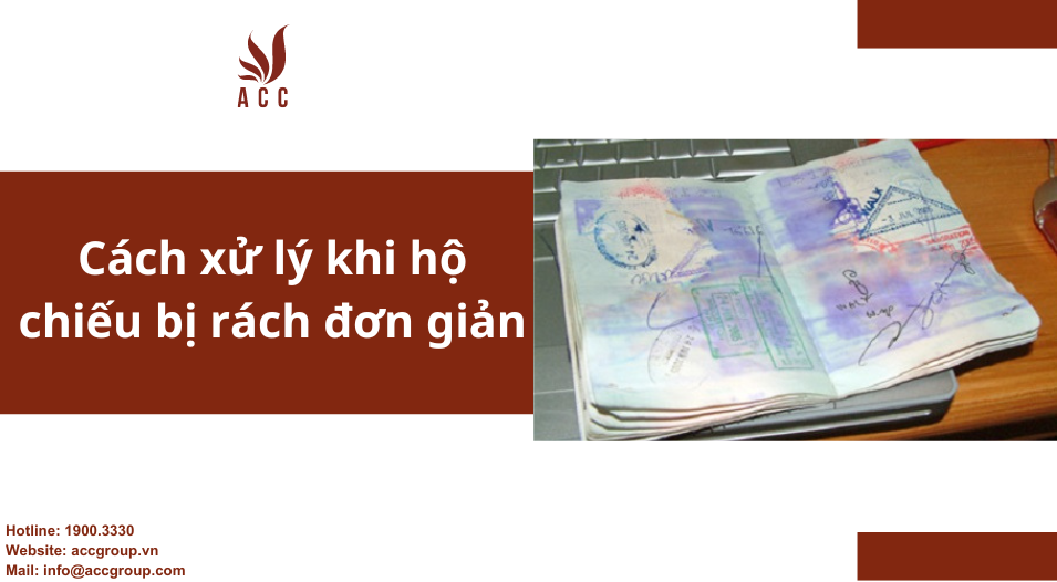 Cách xử lý khi hộ chiếu bị rách đơn giản