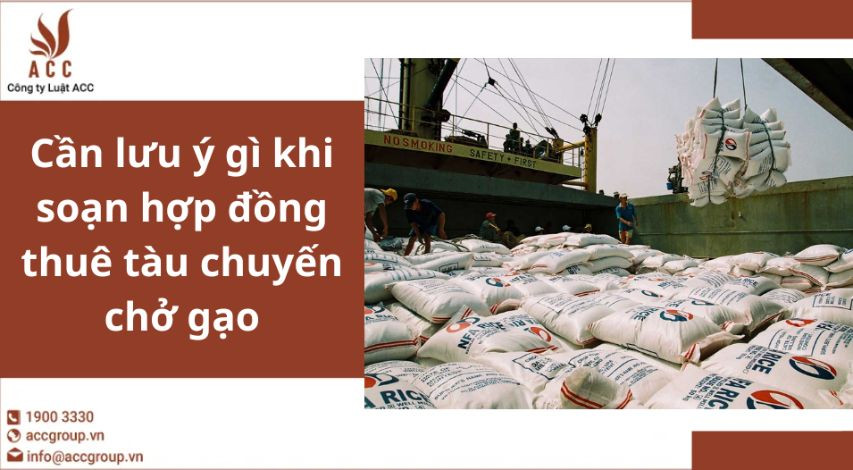Cần lưu ý gì khi soạn hợp đồng thuê tàu chuyến chở gạo