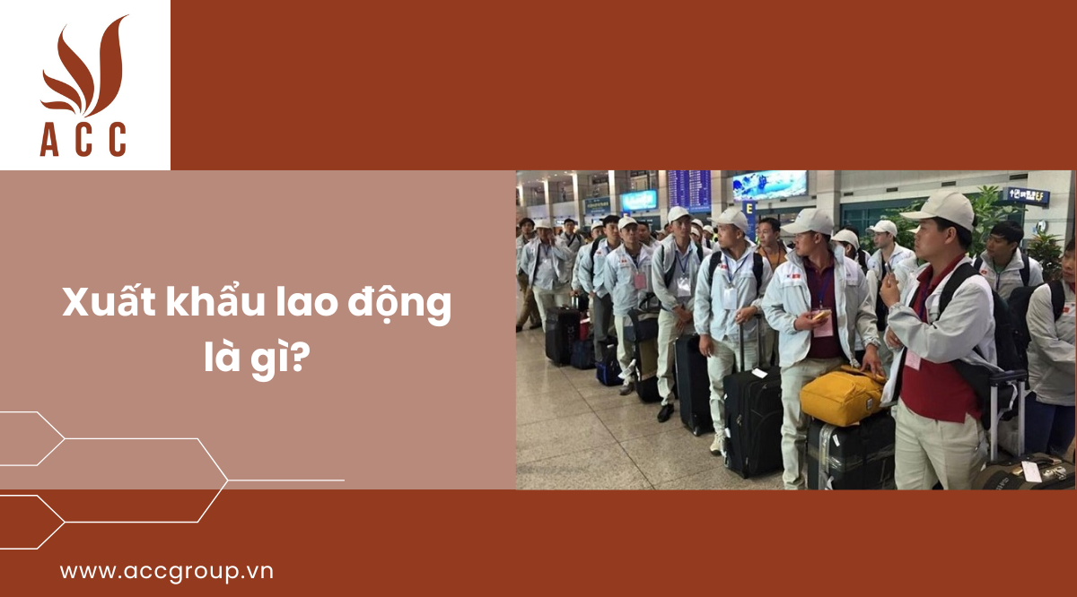cau-thanh-toi-pham-toi-co-y-gay-thuong-tich-2