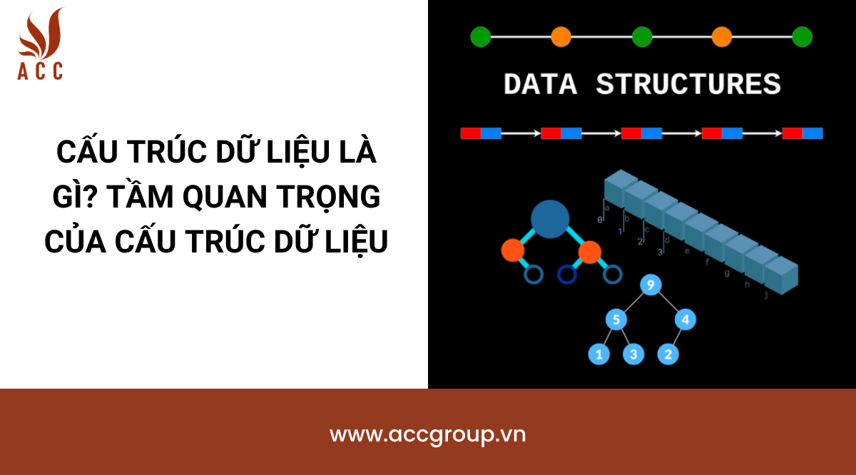 Cấu trúc dữ liệu là gì? Tầm quan trọng của cấu trúc dữ liệu