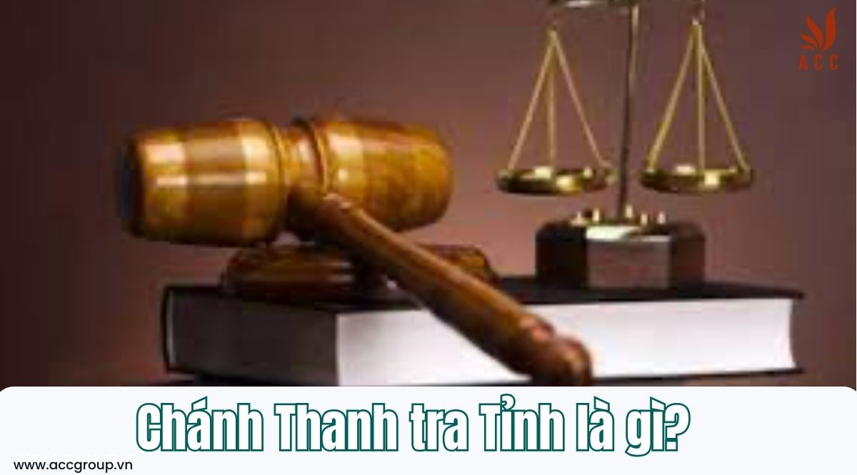 Chánh thanh tra tỉnh là gì? Nhiệm vụ và quyền hạn của Chánh thanh tra tỉnh.