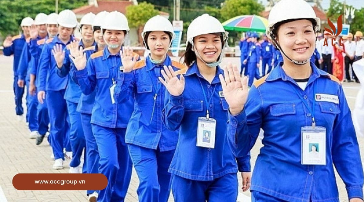 Chế độ bảo hộ lao động và chăm sóc sức khỏe người lao động