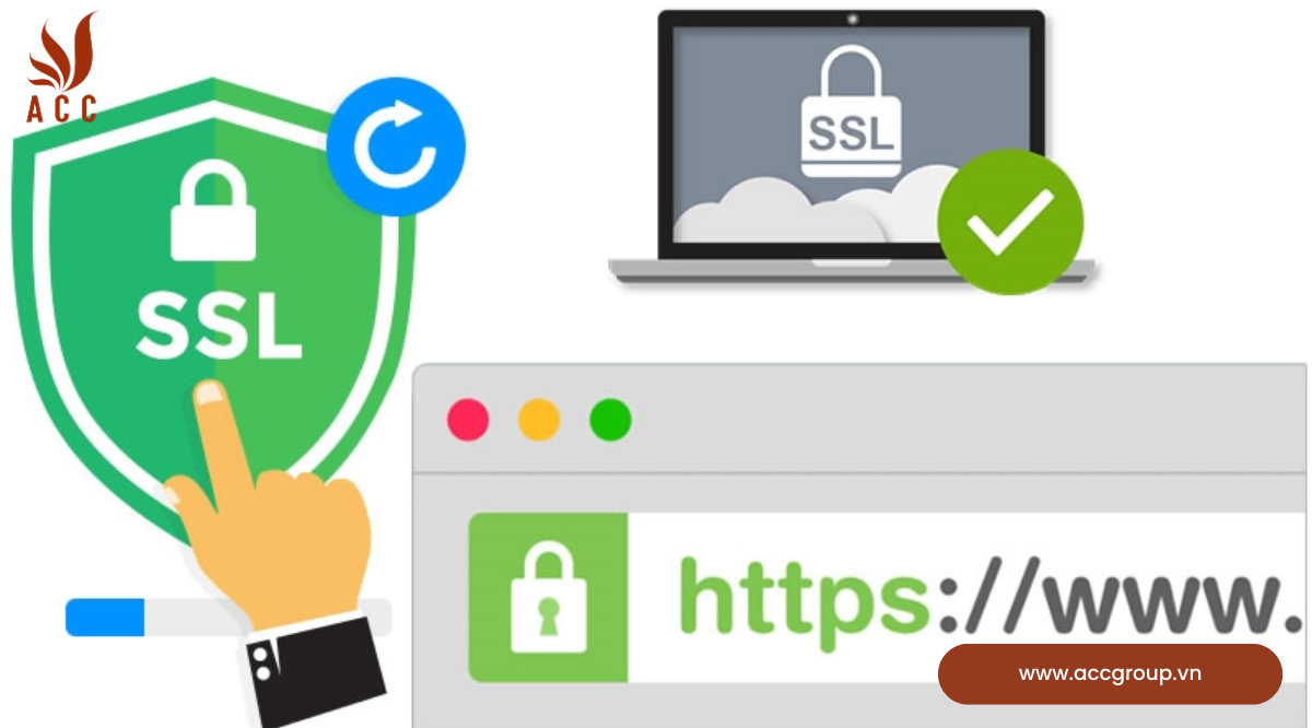 Chứng chỉ số SLL/TLS gồm những gì?