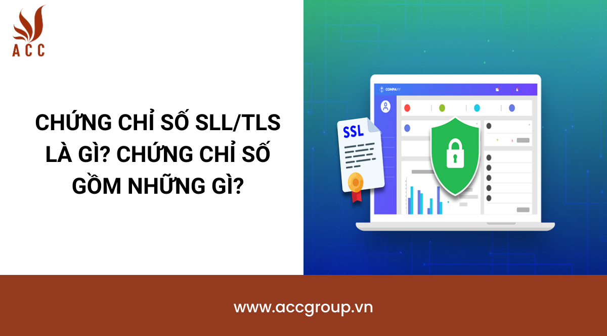 Chứng chỉ số SLL/TLS là gì? Chứng chỉ số gồm những gì?