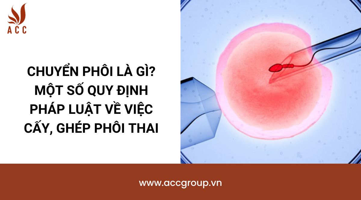 Chuyển phôi là gì? Một số quy định pháp luật về việc cấy, ghép phôi thai
