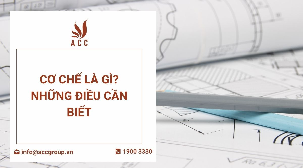 Cơ chế là gì Những điều cần biết