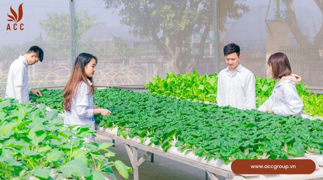 Cơ hội việc làm của ngành kinh tế nông lâm