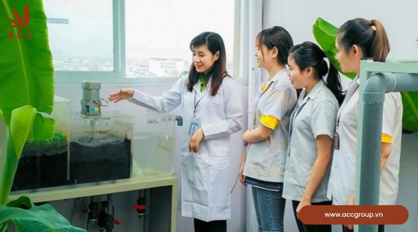 Cơ hội việc làm của ngành kỹ thuật môi trường
