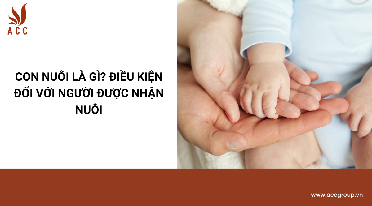 Con nuôi là gì? Điều kiện đối với người được nhận nuôi