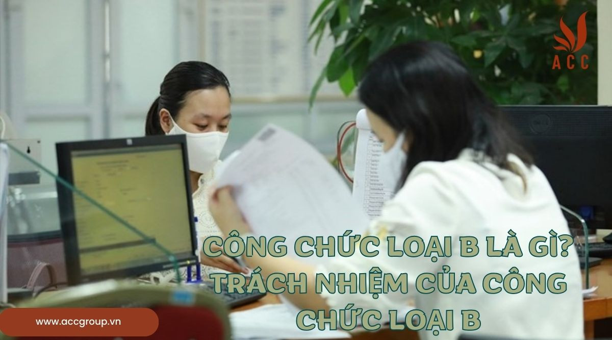 Công chức loại B là gì?Trách nhiệm của công chức loại B