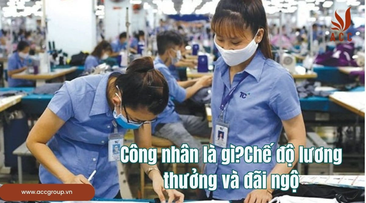 Công nhân là gì?Chế độ lương thưởng và đãi ngộ