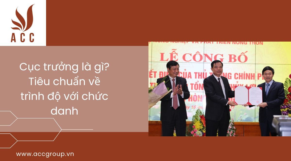 Cục trưởng là gì?Tiêu chuẩn về trình độ với chức danh