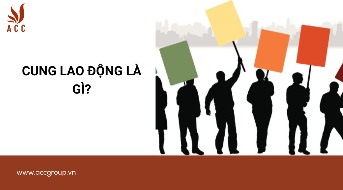 Cung lao động là gì?