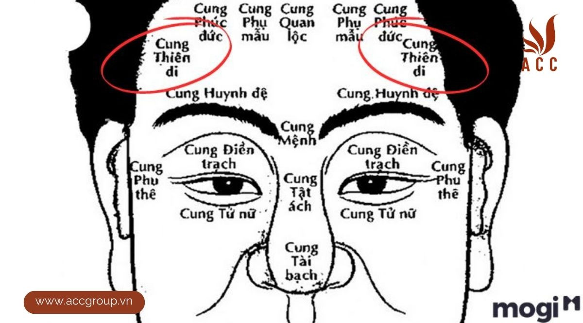 Cung Thiên Di là gì?