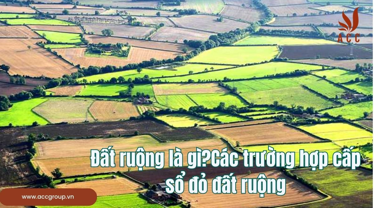 Đất ruộng là gì?Các trường hợp cấp sổ đỏ đất ruộng