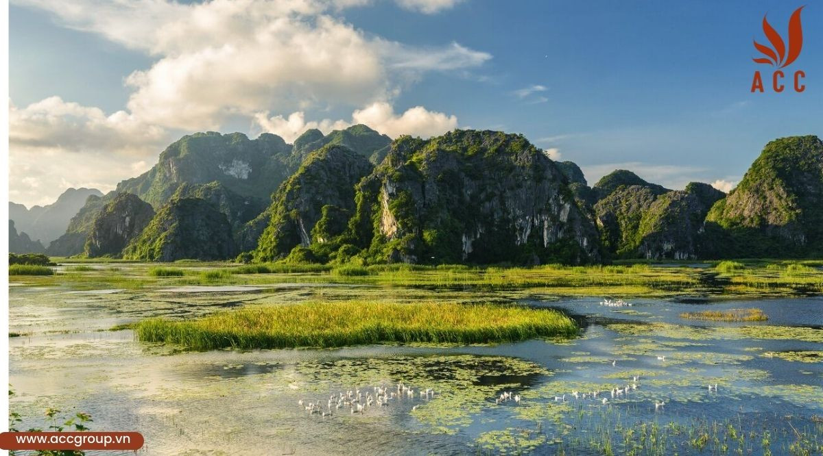 Dịch vụ hệ sinh thái (Hình ảnh minh hoạ)