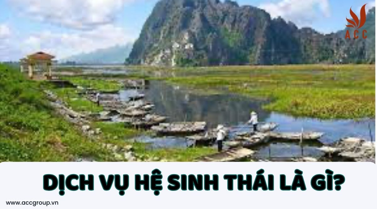Dịch vụ hệ sinh thái là gì?Nguyên tắc chi trả dịch vụ hệ sinh thái tự nhiên là gì?