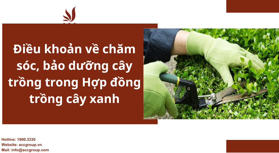 Điều khoản về chăm sóc, bảo dưỡng cây trồng trong Hợp đồng trồng cây xanh