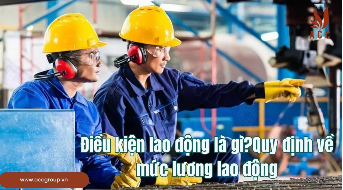 Điều kiện lao động là gì?Quy định về mức lương lao động