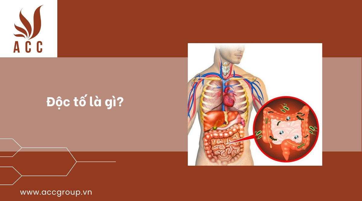 Độc tố là gì