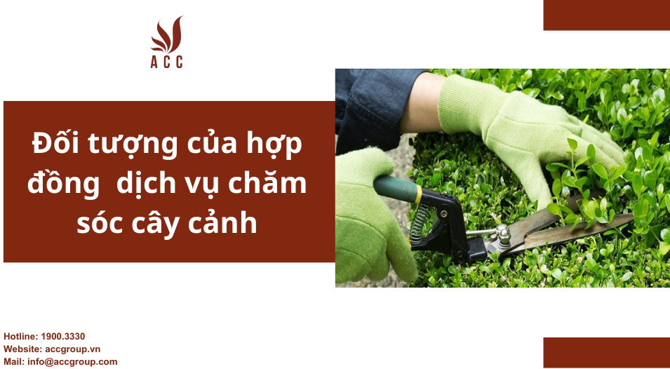 Đối tượng của hợp đồng dịch vụ chăm sóc cây cảnh