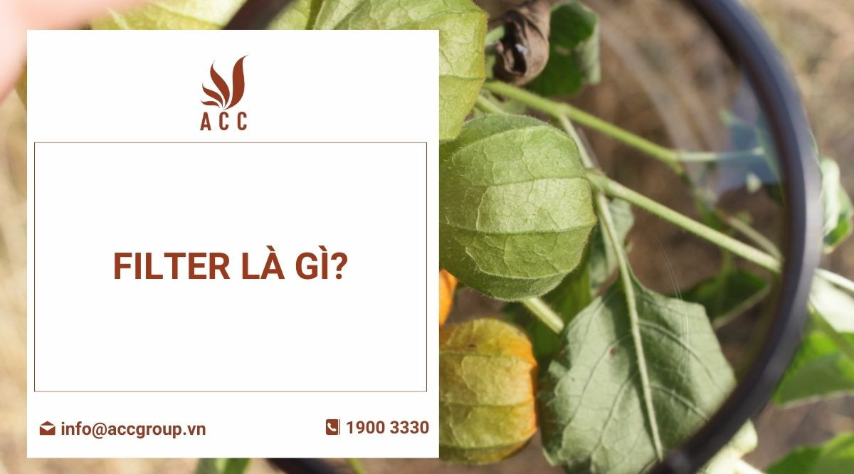 FILTER là gì
